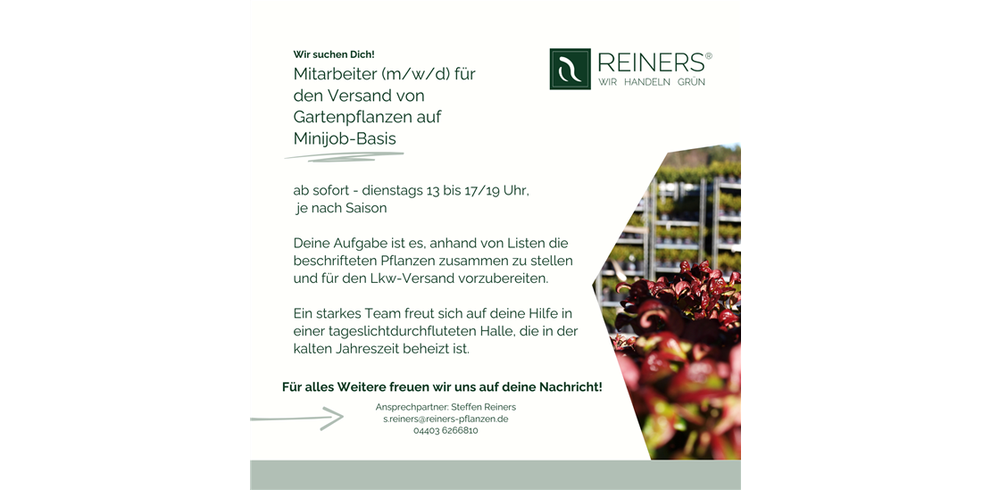 Reiners GmbH Stellenanzeige Homepage.png